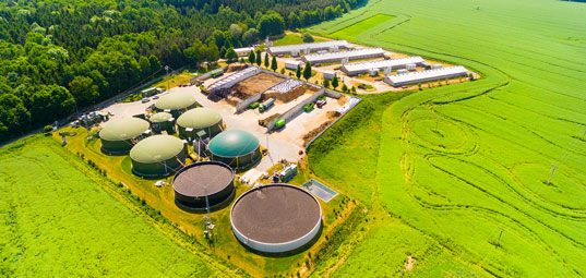 Bioenergy