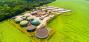 Bioenergy