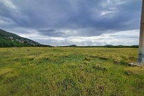 st-vincent-c7