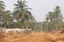 sierra-leone