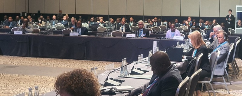 African CMP 13A side event pic 1