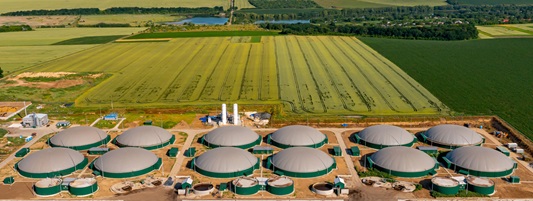 Bioenergy