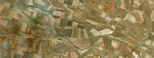 BioenergySimulator